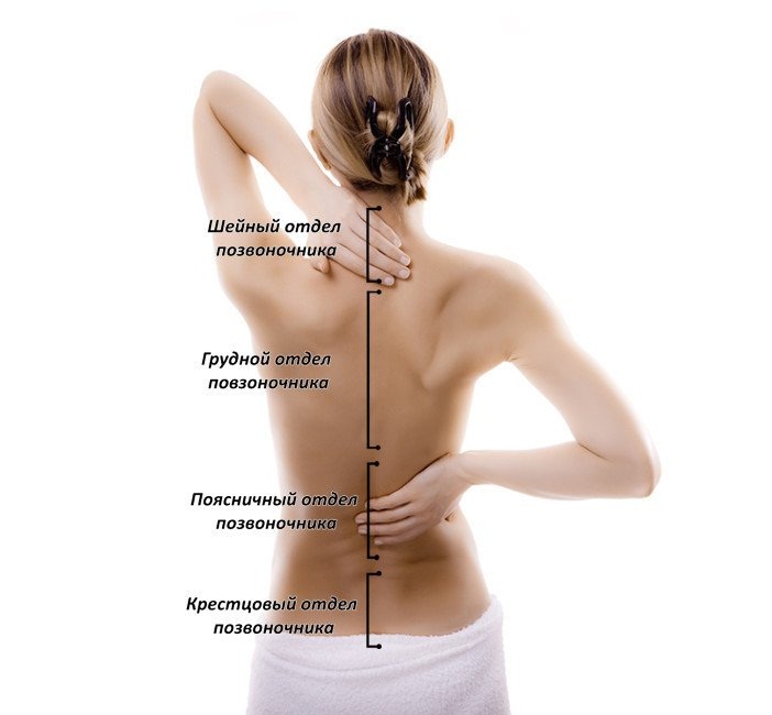 Симптомы и лечение остеохондроза шейного и грудного отдела позвоночника